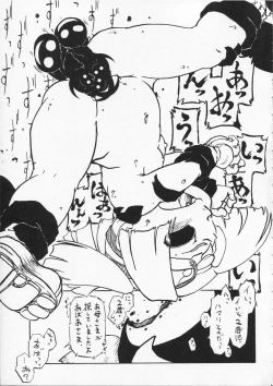 Page 45 of Tsurupeta Kenkyuu Houkokusho 009