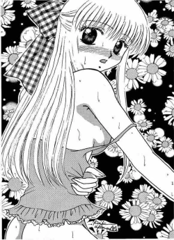 Page 12 of Secret Garden