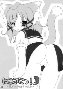 Page 3 of Neko Puni! Vol. 3