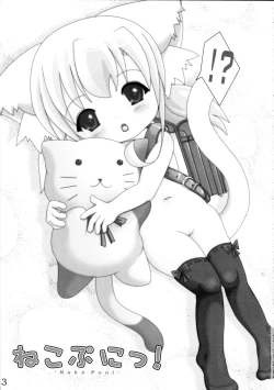 Page 3 of Neko Puni!