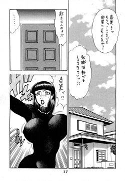 Page 37 of Hime Sakunyuu