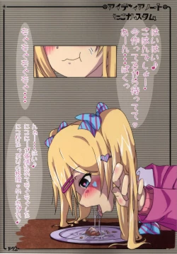 Page 11 of Idea Note "Nico Custom"