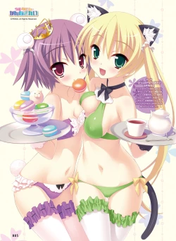 Page 84 of Dengeki Otona no Moeoh Vol.04