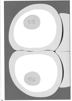 Page 55 of Ketsu darake touhou soushuuhen series 2