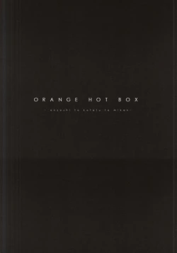 Page 18 of ORANGE HOT BOX