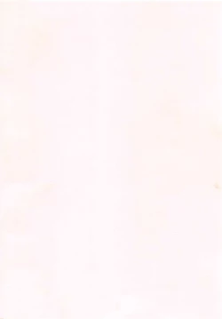 Page 240 of Japanese Preteen Suite