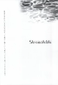 Page 20 of Stromatolite