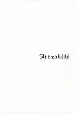 Page 2 of Stromatolite