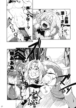 Page 26 of Touhou Ishu Kan Goudou