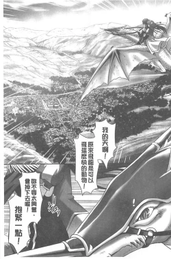 Page 163 of Harem Wedding The Sweet Honeymoon