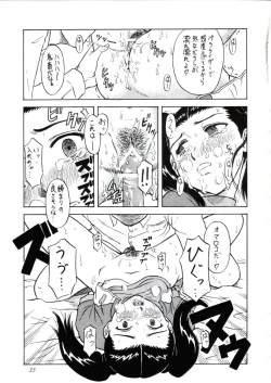 Page 35 of Tsuihou Kakugo Ver 6.0