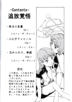Page 4 of Tsuihou Kakugo Ver 6.0