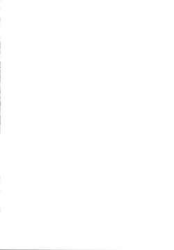 Page 3 of Dainiji Lindow Obikiyose Daisakusen!!