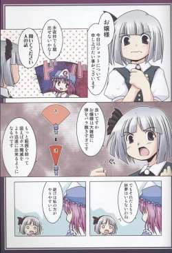 Page 11 of Touhou Shoujo Shuuishuu Ichi