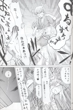 Page 19 of 半獣半霊騒動記