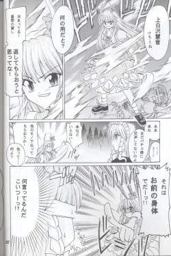 Page 22 of 半獣半霊騒動記