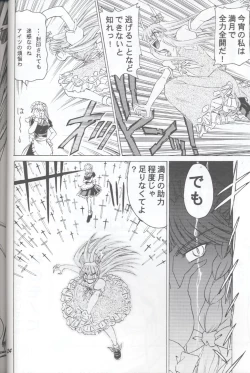 Page 24 of 半獣半霊騒動記