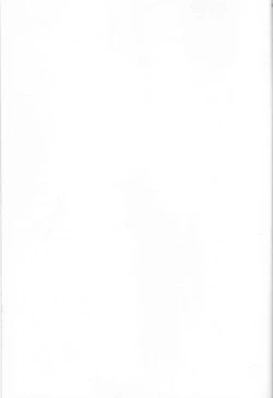 Page 4 of ISEKAIJINGA ORENOIEWO KATSUDOKYOTENTO SURURASHII!?