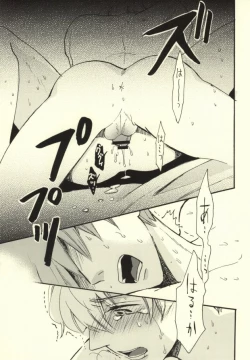 Page 24 of Killer Whale Killer