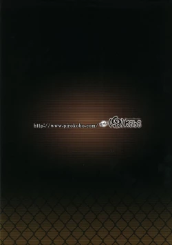 Page 24 of Suruga Test