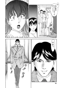 Page 43 of Hitomi no Karte 4