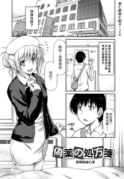 Download Giyaku no Shohousen