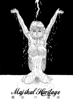 Download D&D Mahou no Isan - Magical Heritage