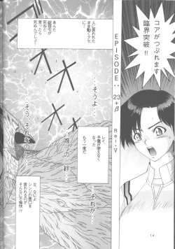 Page 13 of Ayanami Zero Shiki