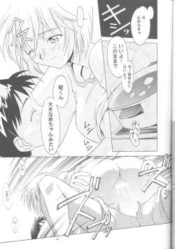 Page 40 of Ayanami Zero Shiki