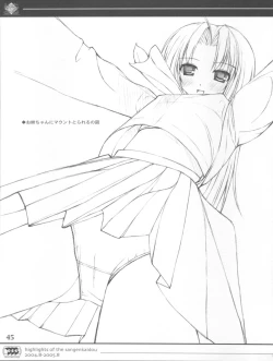 Page 45 of KEISUHOUSIKI 3