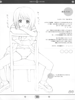 Page 4 of Keisuhousiki 2