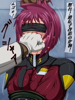 Page 25 of Goumon Gokuroku 9 Horyo Gyakutai