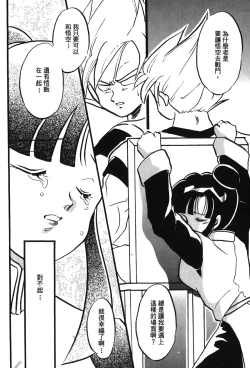 Page 95 of Dragon Pearl 05