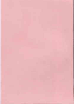 Page 5 of Pink no Ana - Hole of Pink