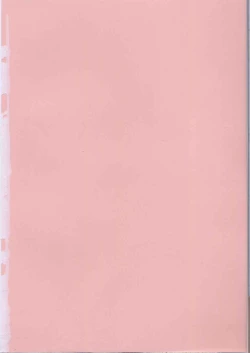 Page 6 of Pink no Ana - Hole of Pink