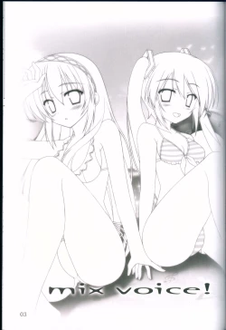 Page 3 of mixVoice!!