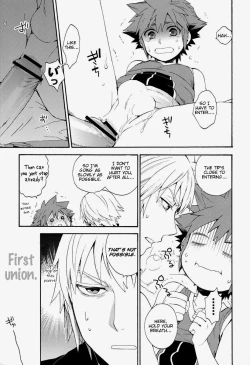 Page 20 of Kingdom Hearts dj – First Session