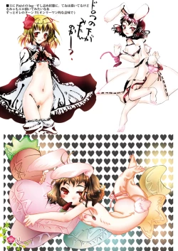 Page 11 of Touhou log