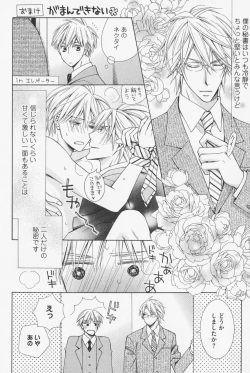 Page 42 of Hanataba Mitai ni Daitekure