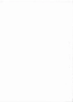 Page 240 of Midara na Shisen