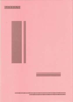 Download Bloomer Suki no Hon Einzbern