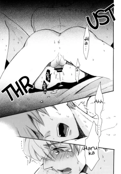 Page 24 of Killer Whale Killer