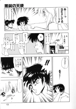 Page 11 of Kokuyoku no Christis