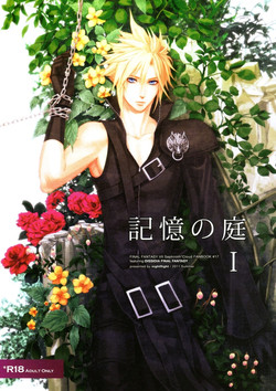 (C80) [nightflight (Yui)] Kioku no Niwa 1 | Garden of Memories 1 (Dissidia Final Fantasy) [English]
