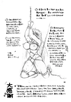 Page 41 of Muteki Bishoujo Shiryuuchan 2