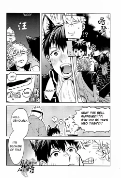 Page 42 of HOW to SPOIL YOUR DOG