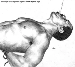 Page 48 of Gallery of tagame gengoroh