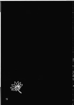 Page 16 of Himitsu no Eros Tinpo!