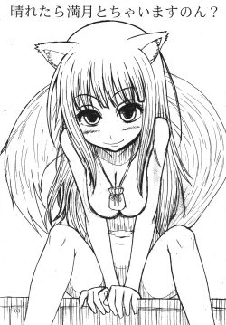 Page 2 of Haretara Mangetsu to Chaimasunon?