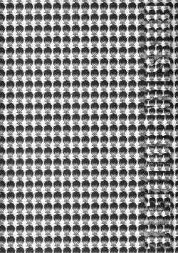 Page 76 of Russian Roulette Hyper